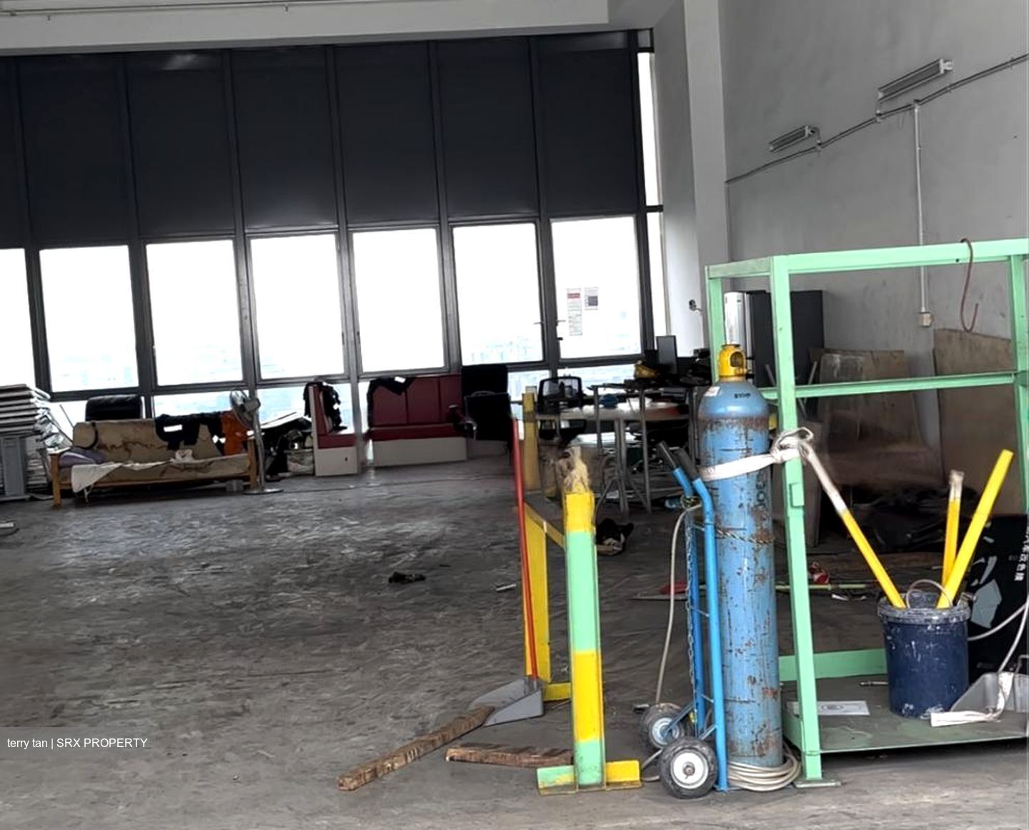 REVV (D22), Factory #488550411